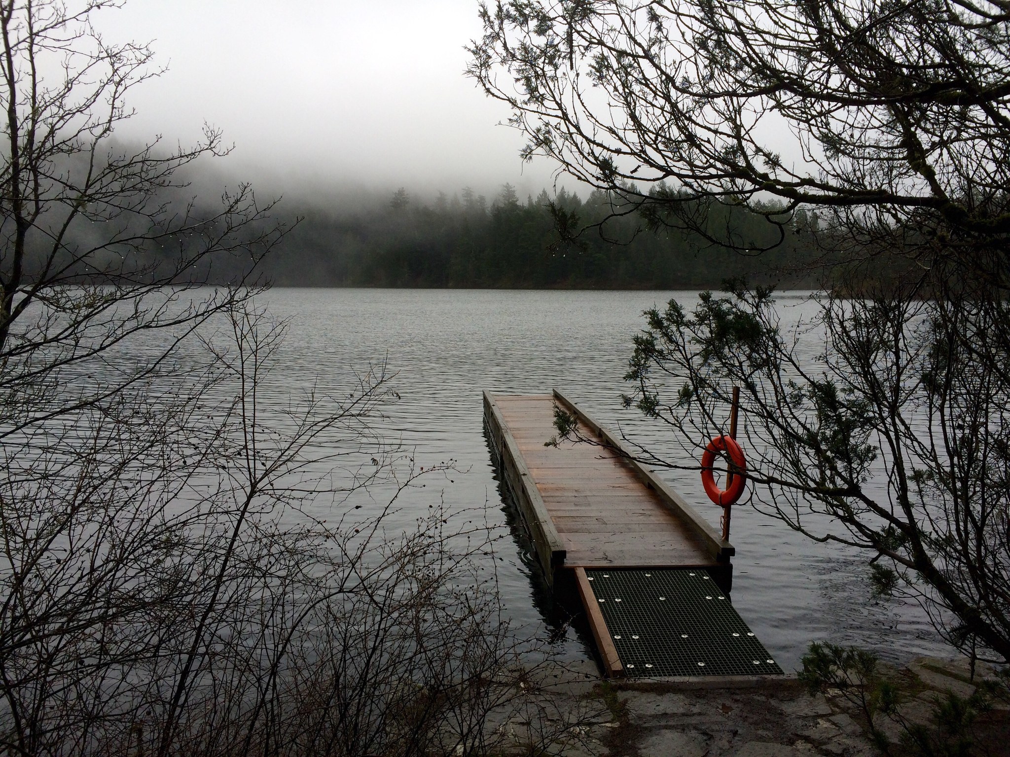 Hiking in Circles 10 Winter Lowland Loops — Washington Trails Association